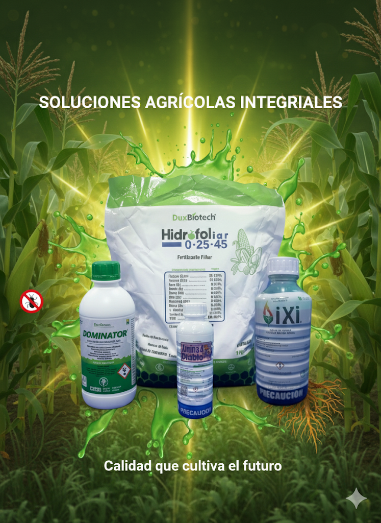 Productos Químicos