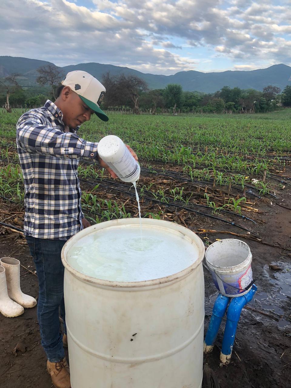 Fertilización agrícola
